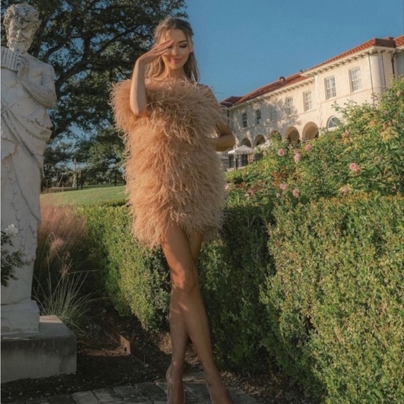 The Bar Andre Feather Dress. - Picture 4 of 4